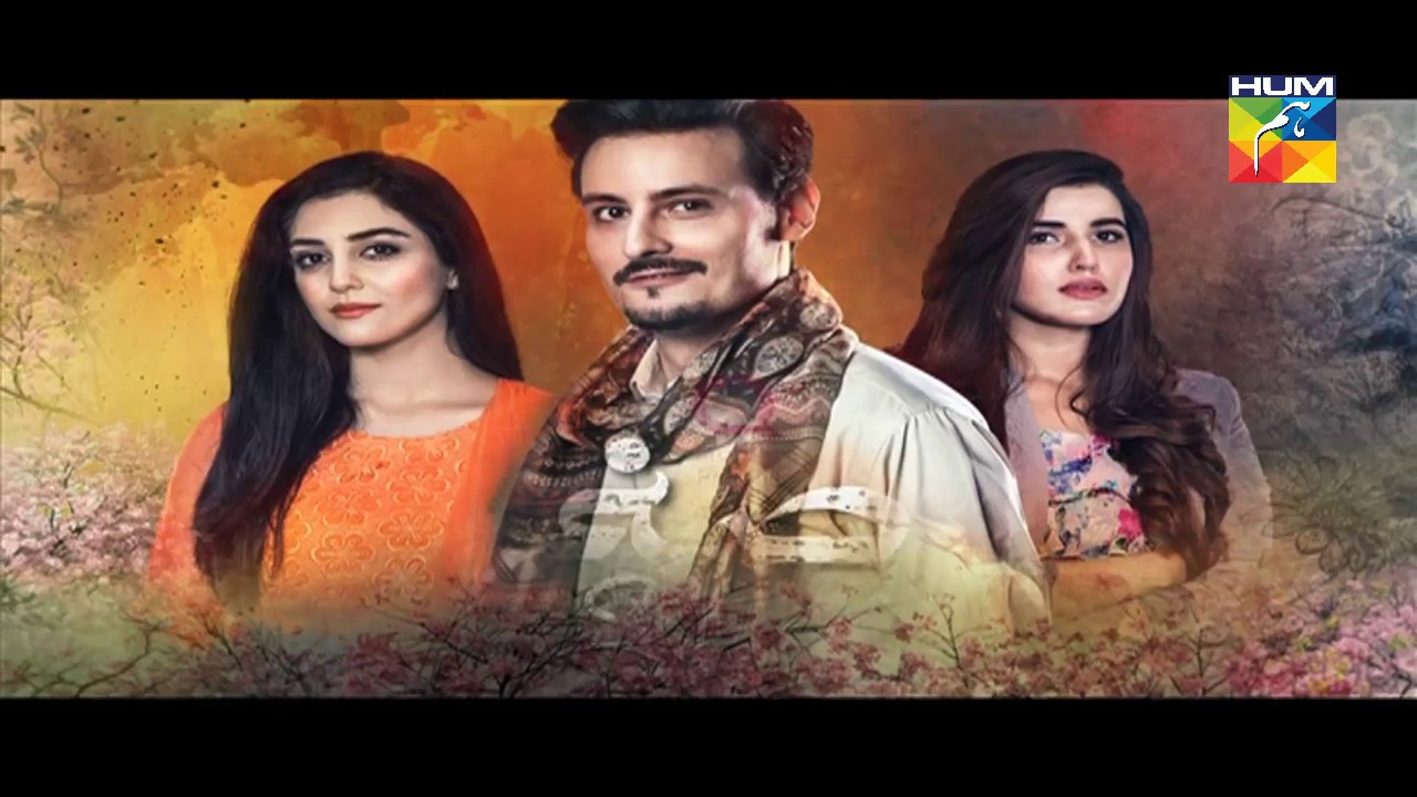 Sanam Episode 17 Full HD HUM TV Drama 2 January 2017
