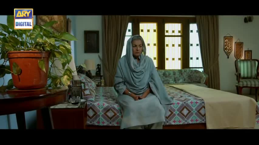 Tum Milay Ep 14 - 10th October 2016 - ARY Digital Drama