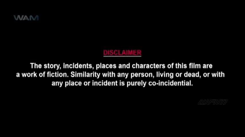 Baagi South Hindi Dubbed Movies 2016 | Allu Arjun