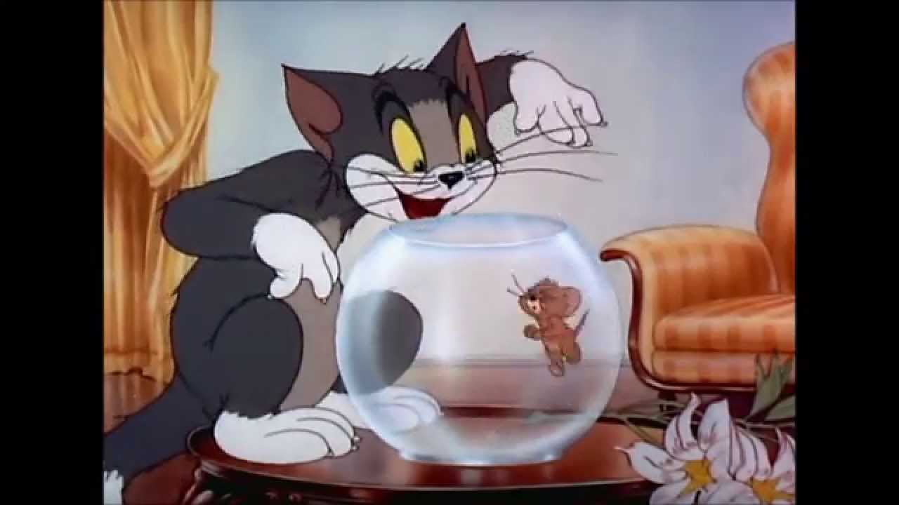 Tom and Jerry, 6 Episode - Puss n’ Toots (1942)