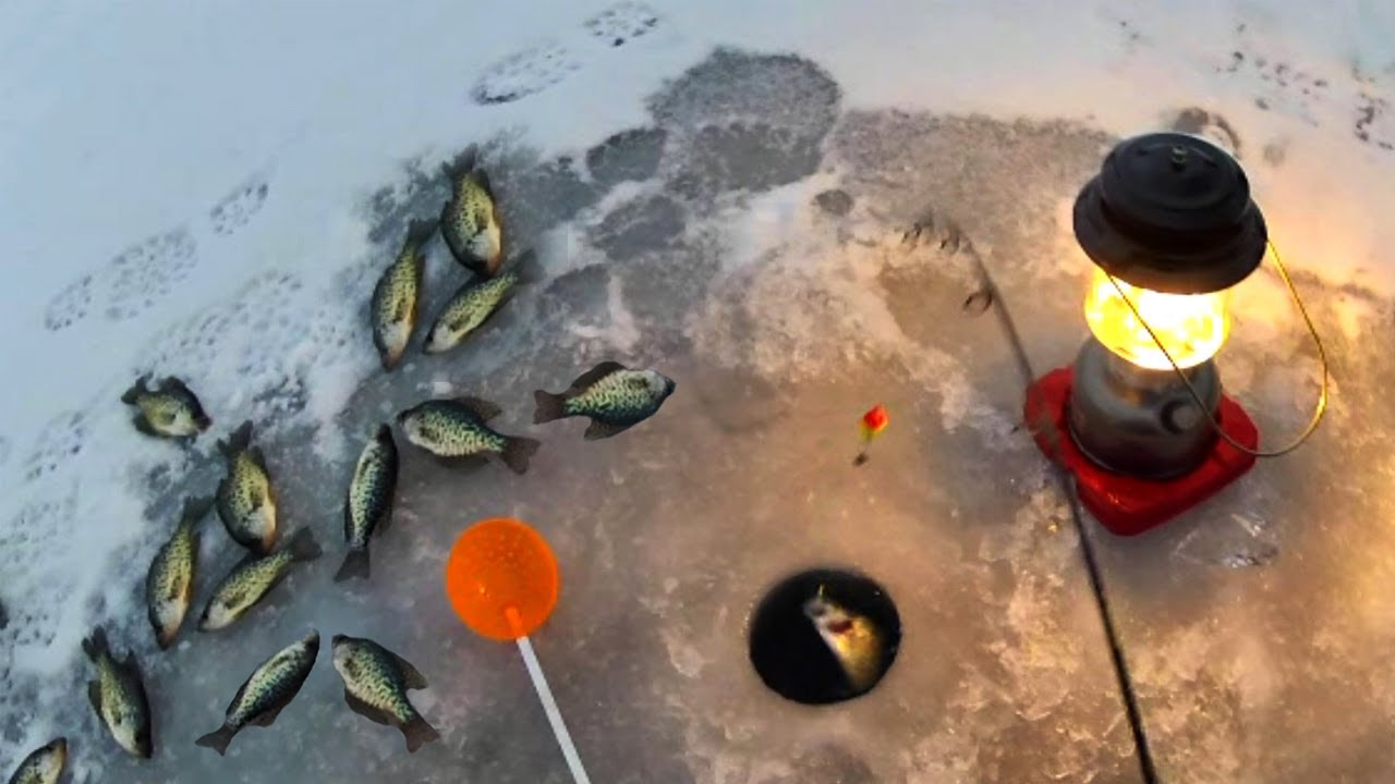 Ice Fishing Feeding Frenzy!