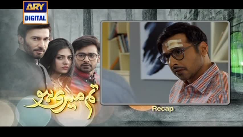 Tum Meri Ho Ep 15 - 25th August 2016 - ARY Digital Drama