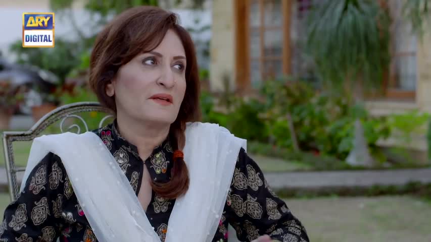 Dilli Walay Dularay Babu Ep 16 - 10th December 2016 - ARY Digital Drama