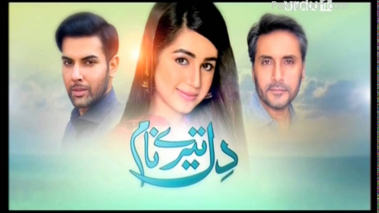 Dil Tere Naam Episode 19  May 2nd 2016