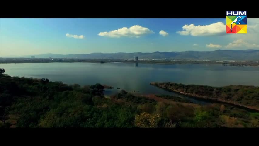 Yakeen Ka Safar Episode 12 HUM TV Drama - 5 July 2017