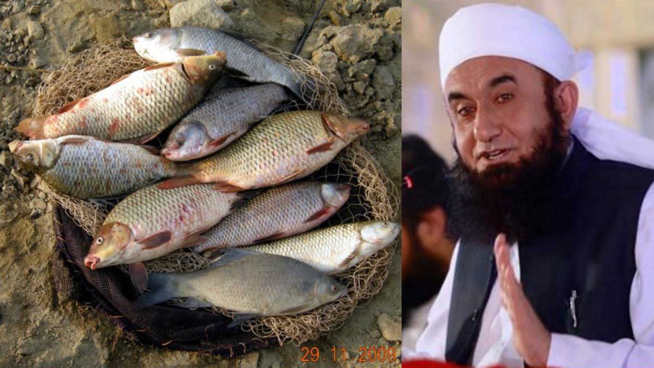 Naran Kaghan Valley Fish Story By Maulana Tariq Jameel 2016