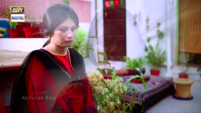Mein Mehru Hoon Ep 102 - 16th December 2016 - ARY Digital Drama