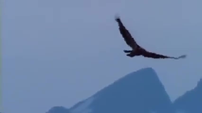 BeastMaster Season 1 Episode 1