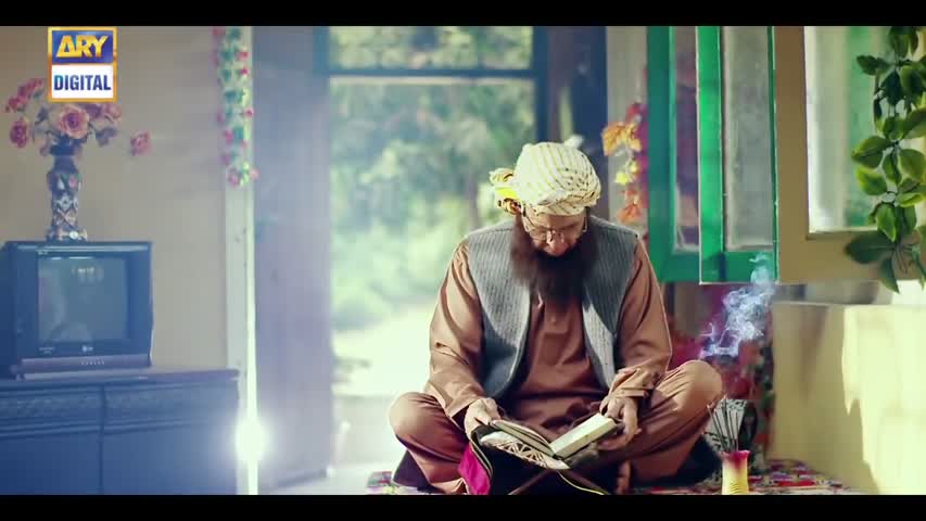 Saheliyaan Ep 91 - 26th December 2016 - ARY Digital Drama