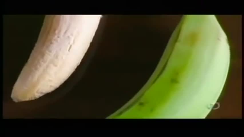 How Its Made   Plantain Chips