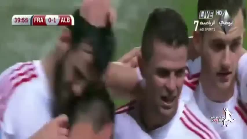 France vs Albania 1-1 2014 All Goals & Highlights