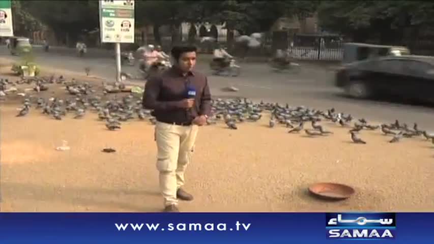 Hum Log | SAMAA TV | 14 Oct 2016