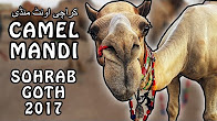 CAMEL MANDI SOHRAB GOTH | KARACHI 2017