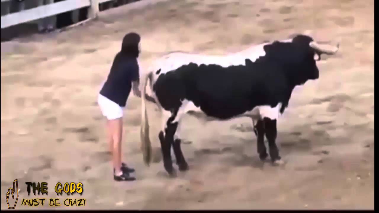 Funny videos 2016 Crazy People - Stupid People - Bull Fighting Fails