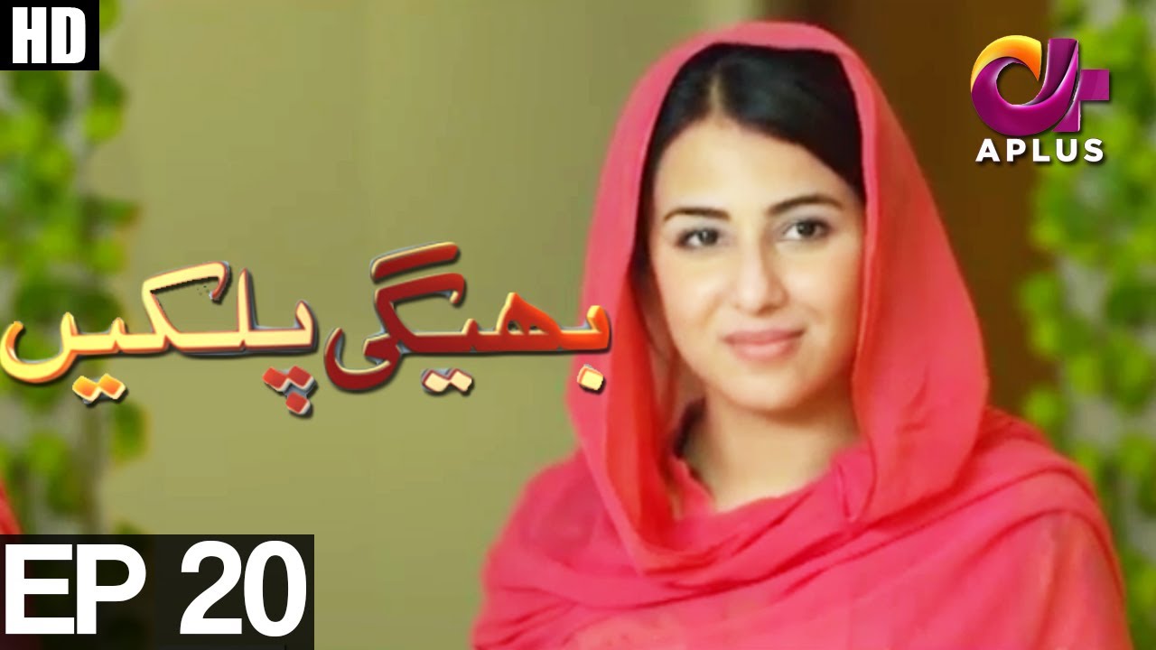 Bheegi Palkein - Episode 20 | A Plus ᴴᴰ Drama | Faisal Qureshi, Affan Waheed, Ushna Shah