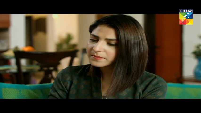 Woh Aik Pal Episode 19 HUM TV Drama - 15 July 2017