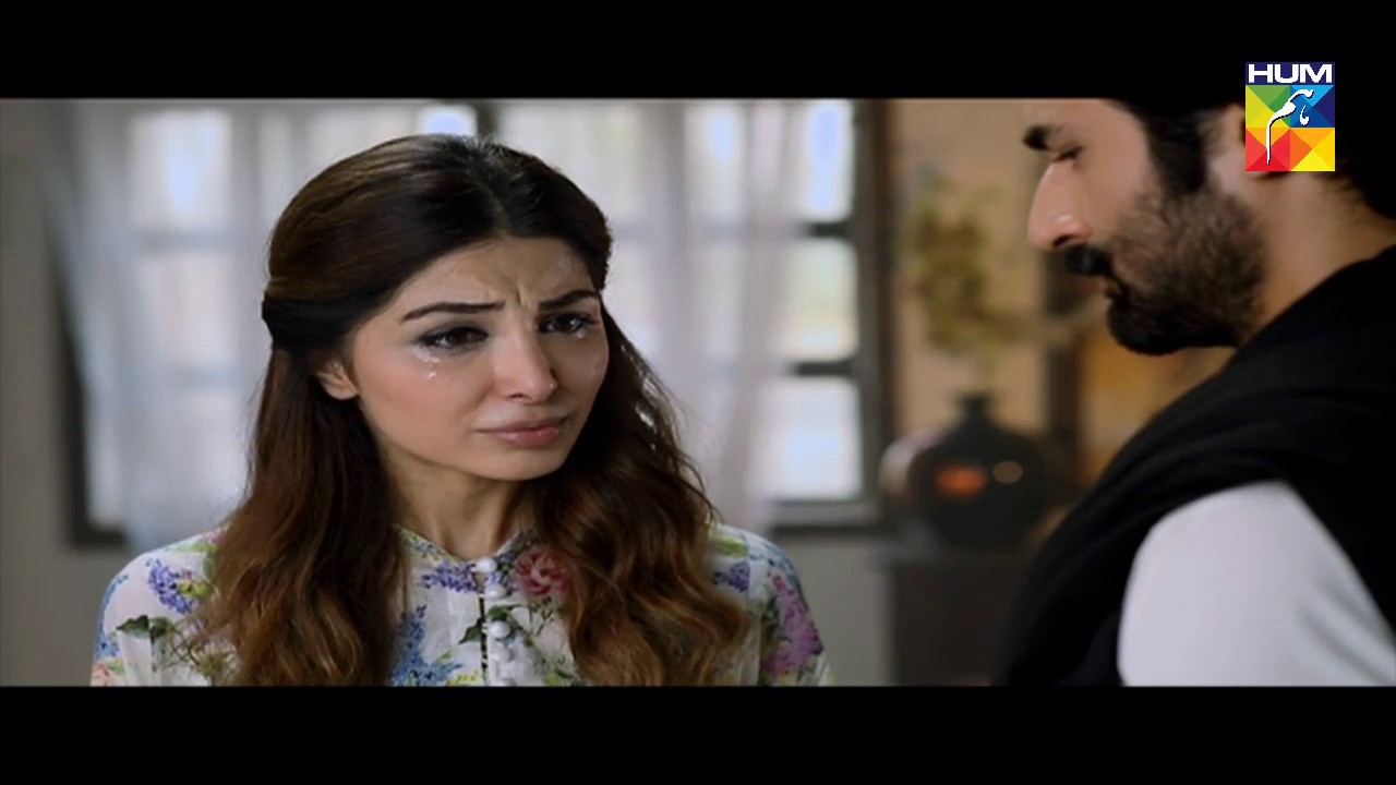 Laaj Episode 14 Full HD HUM TV Drama 5 November 2016