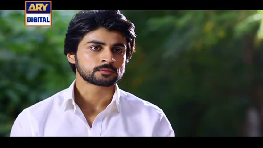 Saheliyaan Ep 31 - 31st August 2016 ARY Digital Drama