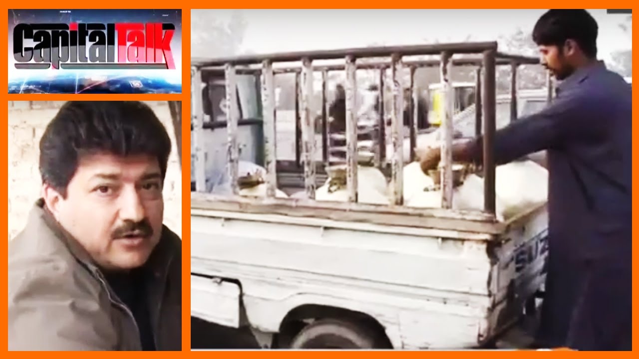 Capital Talk with Hamid Mir - 3 January 2017 - Geo News