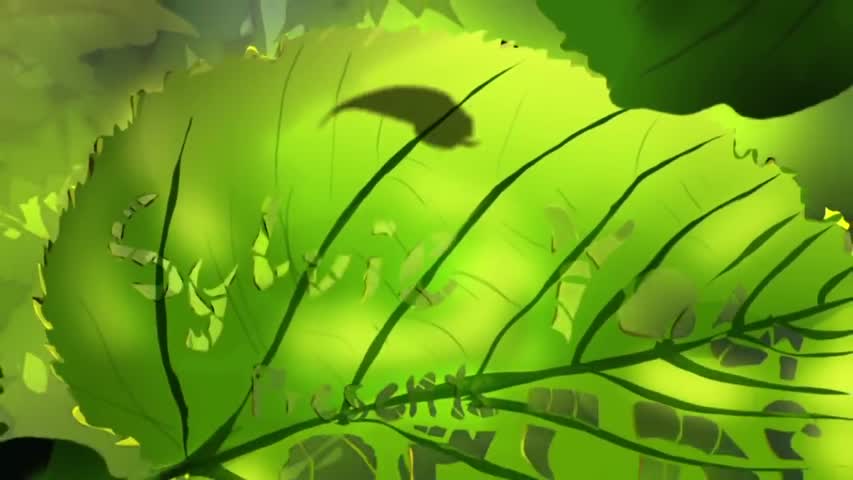 SERENADE OF THE SEEDS