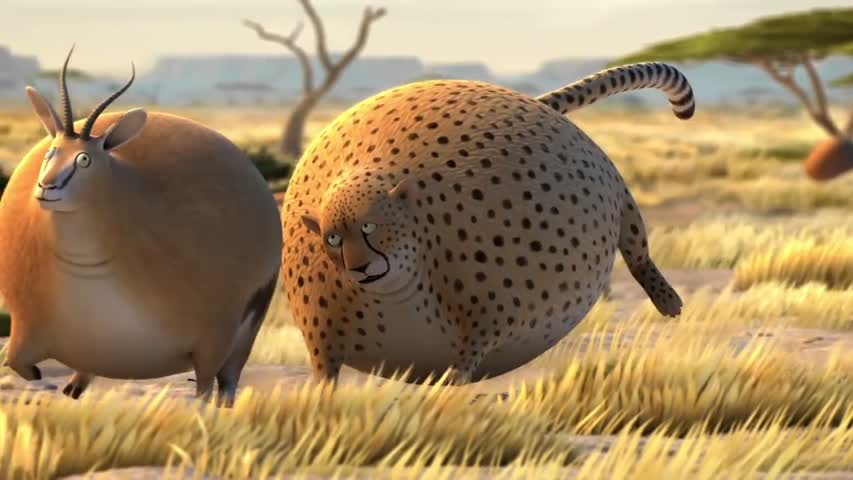 ROLLIN' SAFARI - 'The Chase'