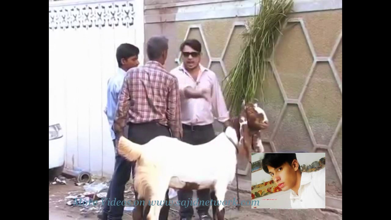 Zara Hut Kay New Funny Video for Special EID 2016