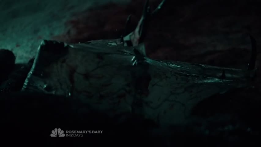 Hannibal - Season 2 Episode 11 - Kō No Mono