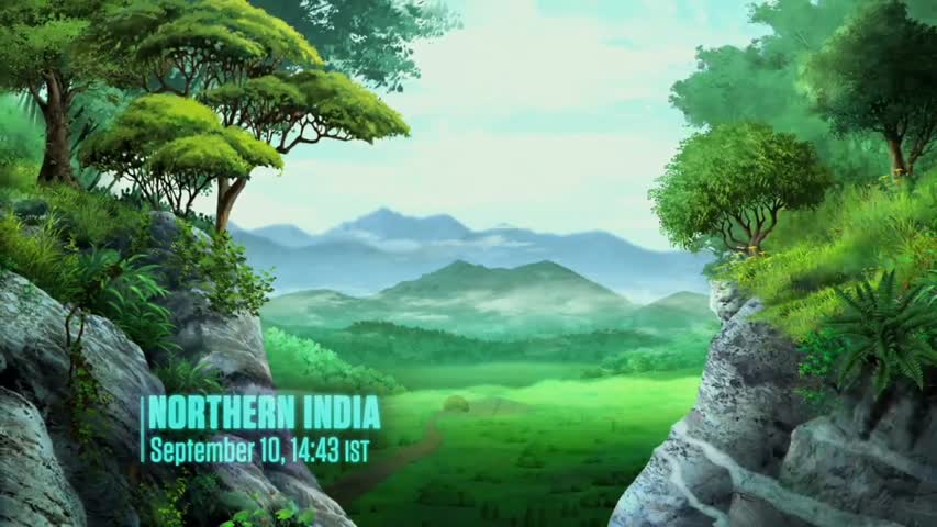 Young Justice - Season 1 Episode 13: Alpha.Male