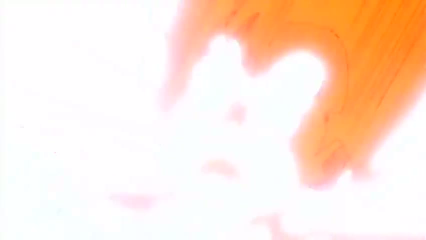 Dragon Ball Z - Season 1 Episode 27 : Time's Up!