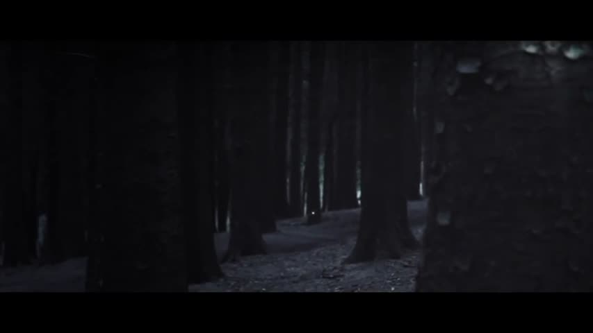 Gloam- by David Elwell & Gareth Hughes