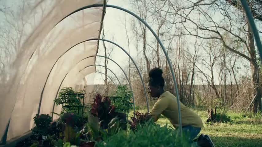 Queen Sugar - Season 1 Episode 1 - First Things First