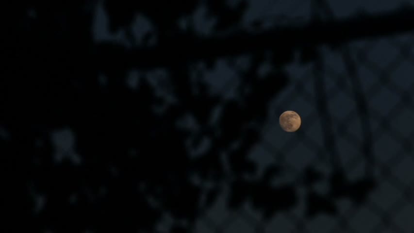 The Walking Dead - Season 4 Episode 2 - Infected