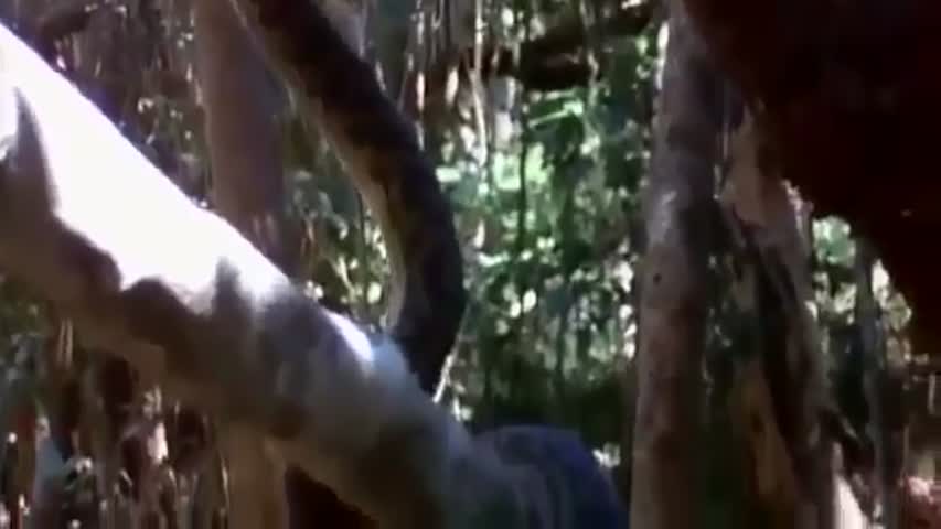 Beastmaster Season 1 Episode 6   The Demon Curupira