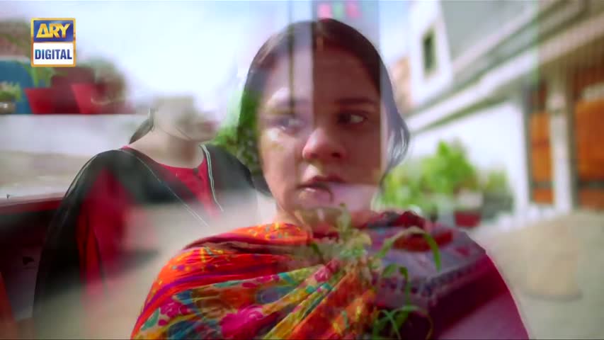 Mein Mehru Hoon Ep 100 - 14th December 2016 - ARY Digital Drama