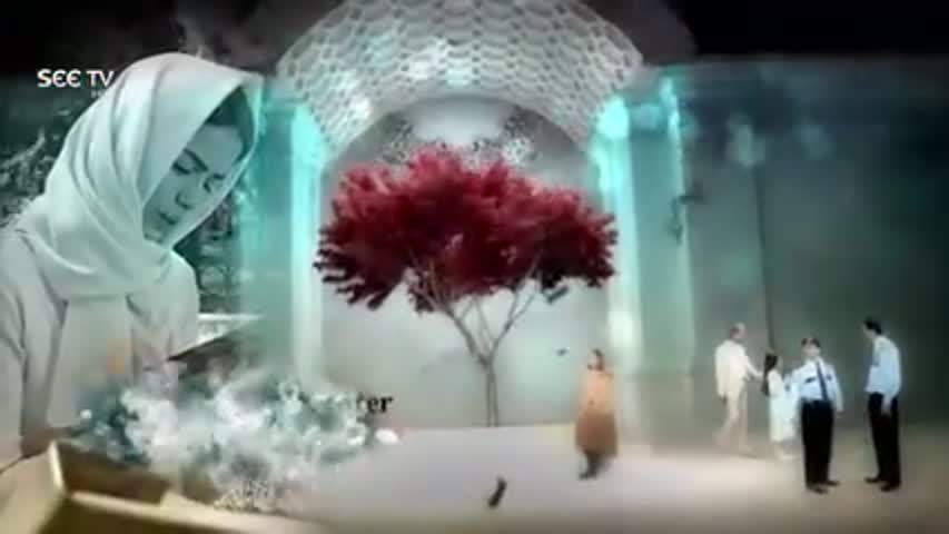 Mehak (Drama Serial)- Episode#9