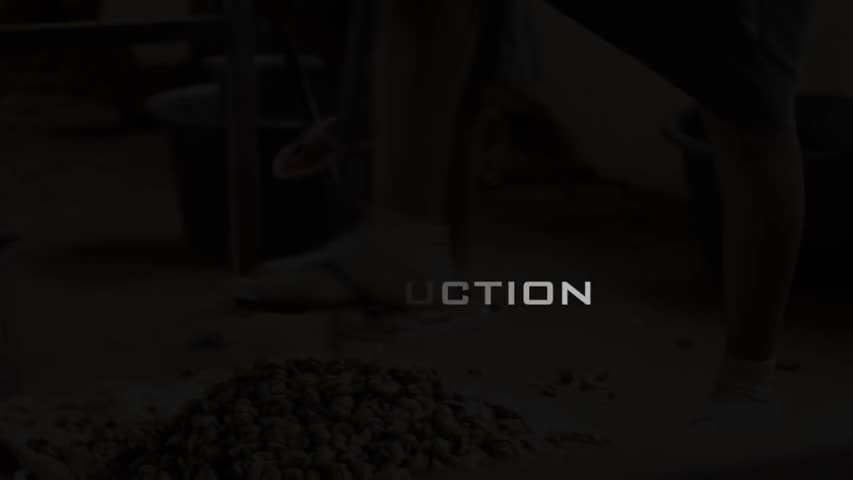 Cashew Nut Processing - Peace Corps Ghana 