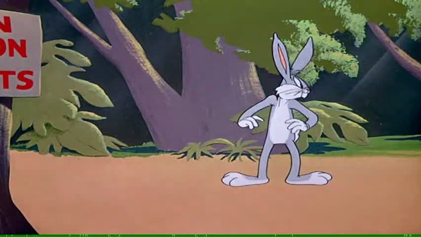 Looney Tunes Golden Collection S01 E9 