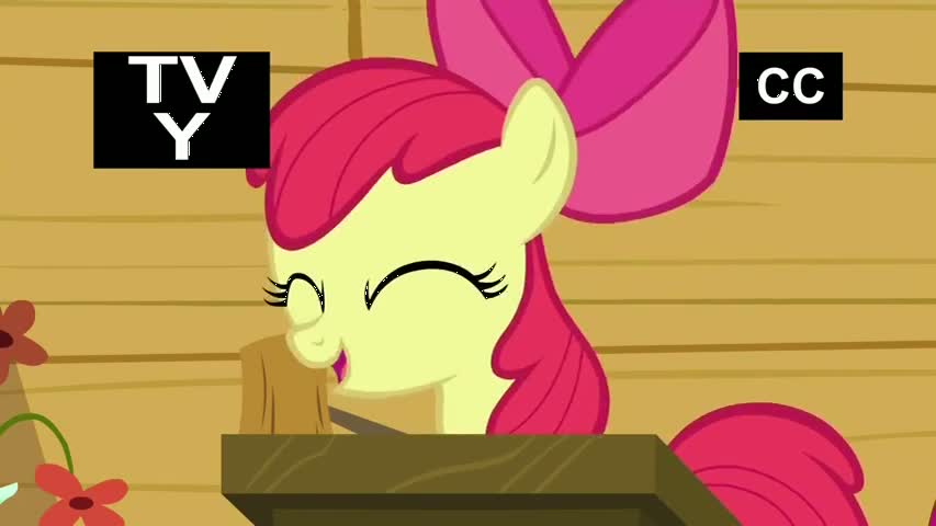 My Little Pony Friendship Is Magic - Season 6Episode 04: On Your Marks