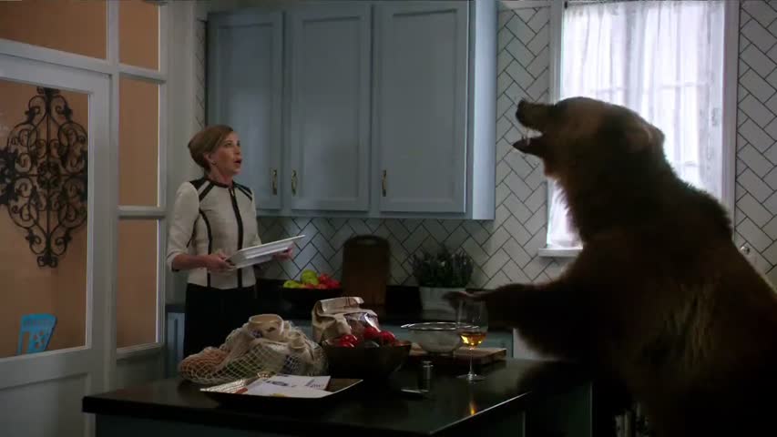 Zoo - Season 2 Episode 6 - Sex, Lies and Jellyfish 