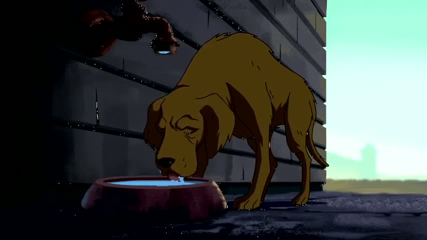 Ben 10 Alien Force - Season 1Episode 03: Everybody Talks About the Weather