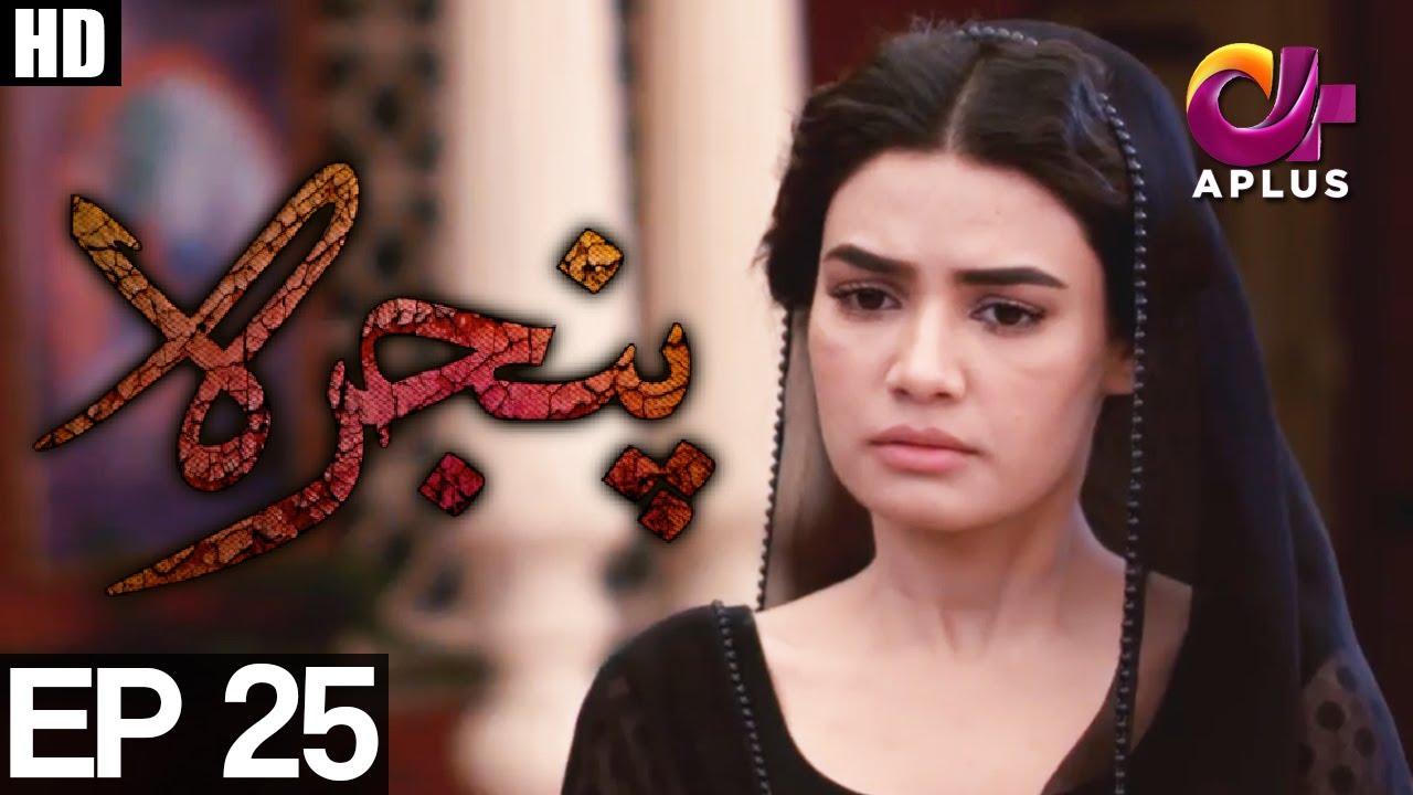 Pinjra - Episode 25 | A Plus ᴴᴰ Drama | Yumna Zaidi, Samina Ahmed, Hassan Niazi