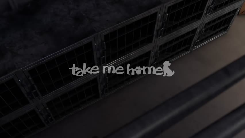 Take Me Home- - by Nair Archawattana