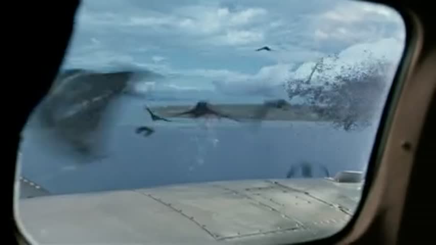  Zoo - Season 1 Episode 5 - Blame It on Leo