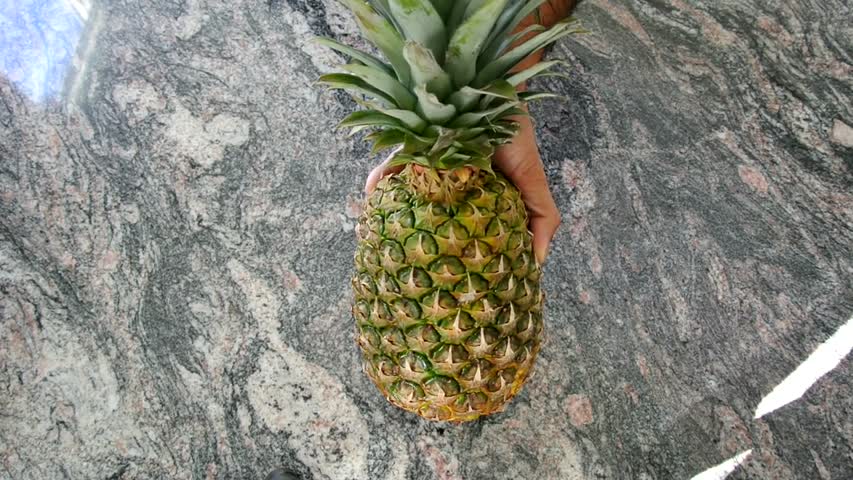 How to Grow a Pineapple from its Top! Works every Time! 