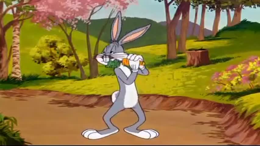 Looney Tunes Episode 14: Hillbilly Hare