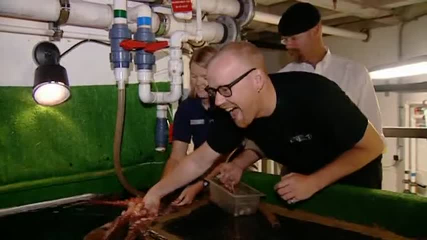 MythBusters - Season 1 Episode 9 - Lightning Strikes / Tongue Piercing