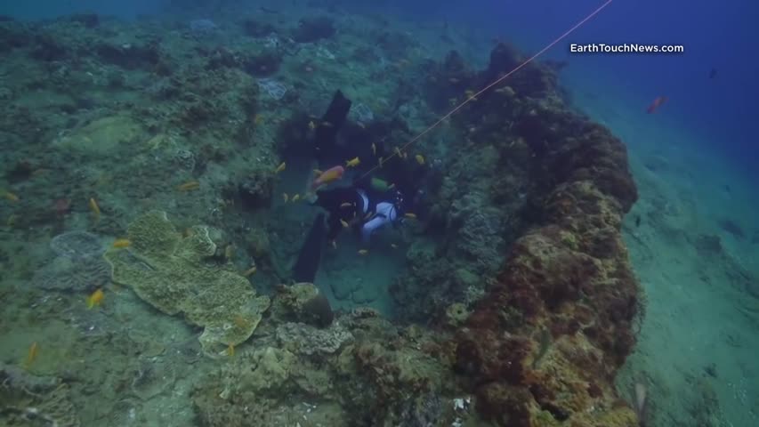 Moray eel attacks underwater cameraman