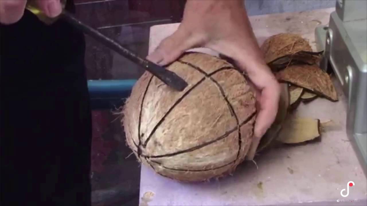 7 Most Amazing Coconut Machines