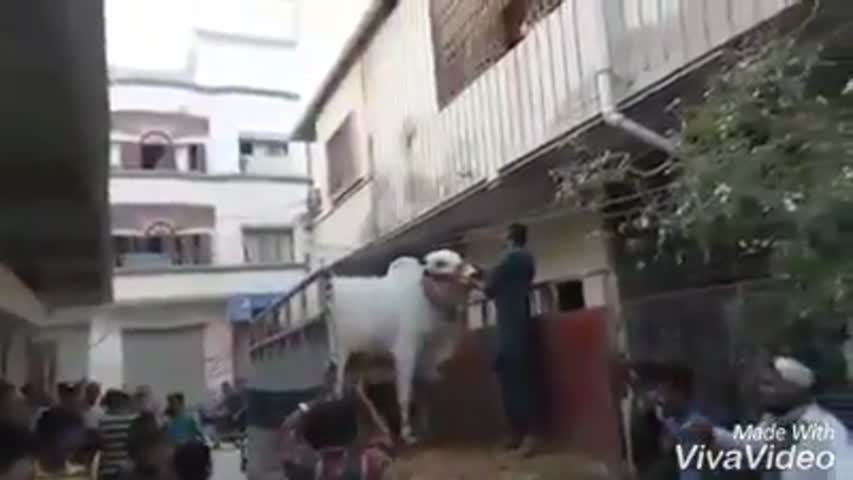 Bhai Jo bat He Sibbi Ki Bat Hi Alag He