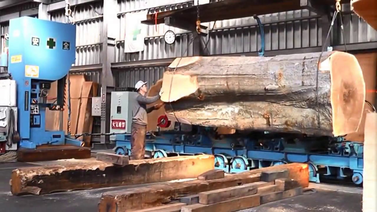 Inside a modern sawmill in Japan Visit wood processing plants